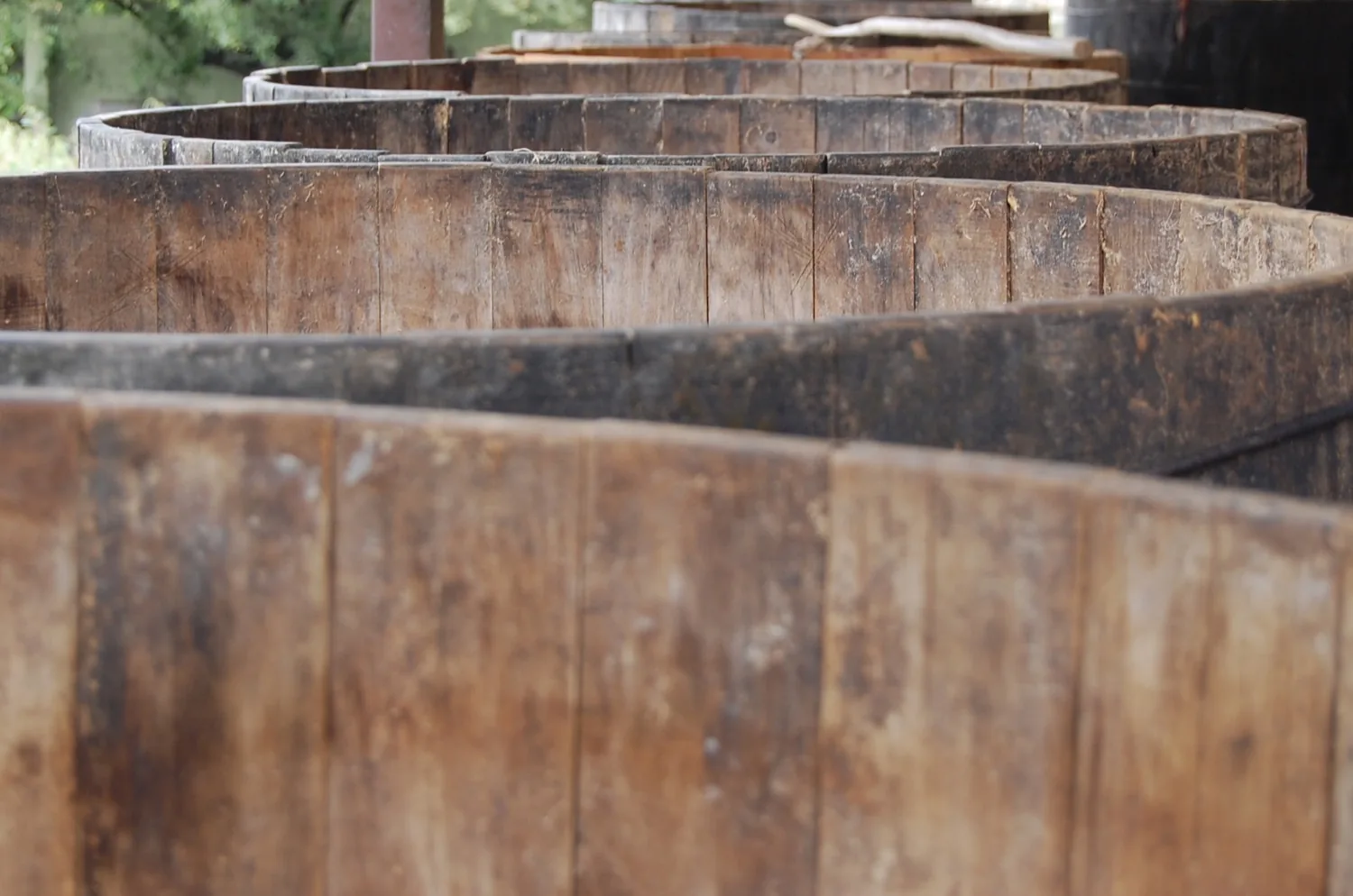 Tinas de fermentación en madera